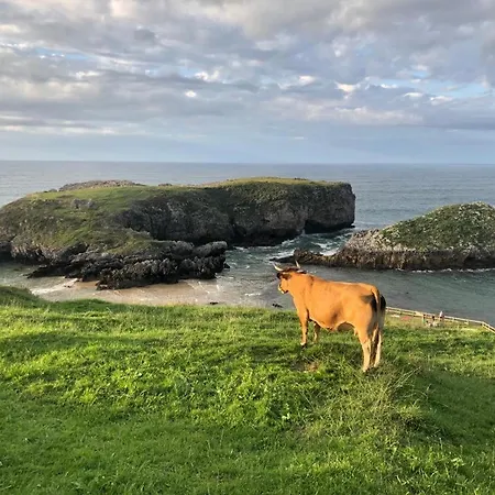 Piso Centro Estacion De Autobuses-tren Con Garaje Apartamento *