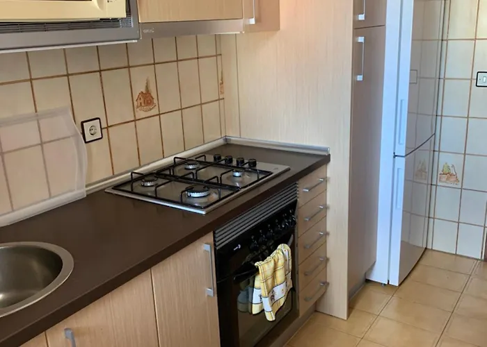 Piso Centro Estacion De Autobuses-tren Con Garaje Appartement